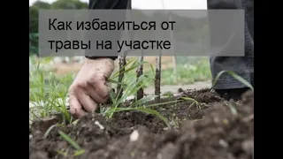 Как избавиться от травы на участке