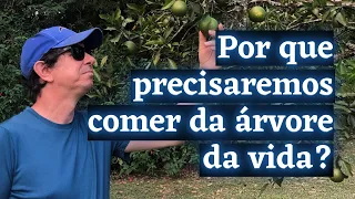 Por que os salvos comerão da árvore da vida? | Apocalipse 22.3 | @Cirozibordi