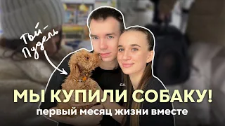 МЫ ЗАВЕЛИ ЩЕНКА♥ Той пудель! Посмотрите это видео, прежде чем заводить эту породу