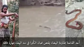 قناص يمني من البيضاء يقنص ثعبان الكبرا