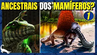 ORIGEM e EVOLUÇÃO dos MAMÍFEROS: Parte 1 - Sinápsidos "Pelicossauros"