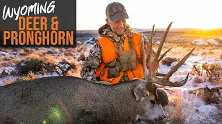 How to Draw A Tag in WYOMING! - Deer & Pronghorn Application (2022)