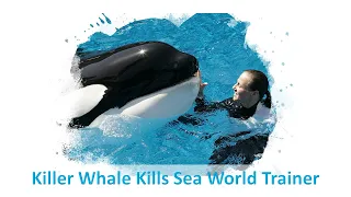 Student's News Report - Killer Whale Kills Sea World Trainer