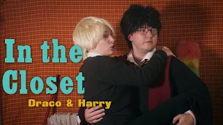 Draco and Harry - In the Closet