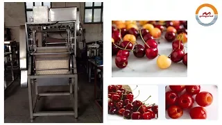 Roller type automatic cherry seed removing machine auto commercial cherry pitter