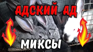 Кролики миксы / Провал эксперимента /Адский ад!