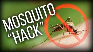 The Smudge Fire - Mosquito Hack