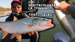 Spinning "la ce pica", cu final neasteptat:avat, salau si iar avat...