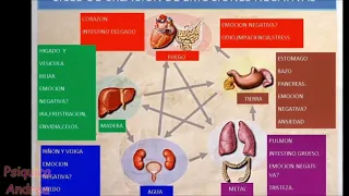 cada órgano enfermo responde a un sentimiento reprimido