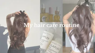 My hair care routine for healthy and shiny hair 🛁🤍
