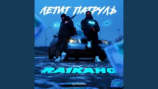 Летит патруль