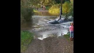 В Пермском районе размыло дамбу