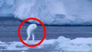 5 Most Mysterious Unknown Creatures Caught on Camera