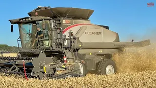 GLEANER S97 Combine Harvesting Wheat