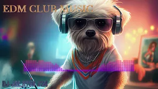 🎵🎶방구석을 클럽으로 만드는 마법 EDM CLUB MIXSET🤩🤩  /헬스/클럽음악/드라이브/EDM/헌팅포차