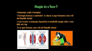 Nefrológia betegeknek: mozgás, keringés, bélflóra