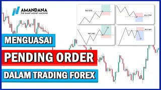 Panduan Lengkap Menggunakan Pending Order dalam Trading Forex