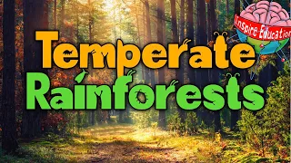 What are temperate rainforests?