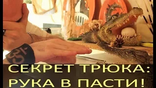 СЕКРЕТ ТРЮКА! Рукаголова в пасти крокодила, в чем секрет?