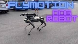 BOSTON DYNAMICS SPOT - FLYMOTION - DOG ROBOT