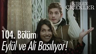 Eylül ve Ali basılıyor! - Kırgın Çiçekler 104. Bölüm