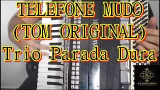 Vídeo Aula Acordeon - TELEFONE MUDO (TOM ORIGINAL) -  Trio Parada Dura