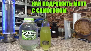 Самогон и мята. Два вкуснейших напитка на джин-корзине. Самогонный аппарат Домспирт2