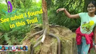 see what Juhita found in Evans creek preserve trail | TreeSuckers