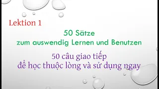 🇩🇪 Học tiếng Đức, 50 câu giao tiếp hàng ngày để học thuộc lòng và sử dụng ngay,  LEKTION 1🇻🇳