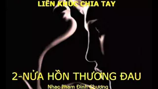 LK ChiaTay 2-NỬA HỒN THƯƠNG ĐAU