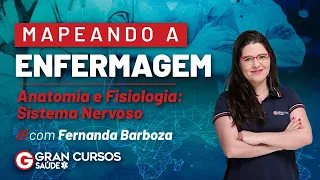 Mapeando a Enfermagem – Anatomia e Fisiologia: Sistema Nervoso Com Fernanda Barboza