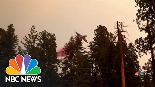 The Intense Fight To Save Yosemite National Park Sequoias