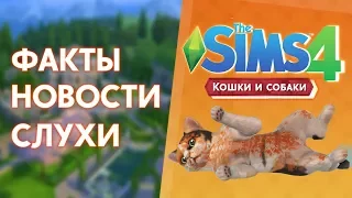 THE SIMS 4 КОШКИ И СОБАКИ - НОВЫЕ НОВОСТИ, ФАКТЫ, СЛУХИ