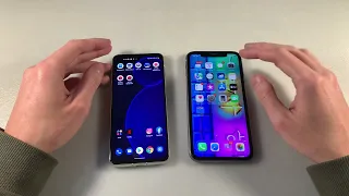 Asus Zenfone 8 vs iPhone 11