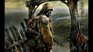 DAYZ S.T.A.L.K.E.R.: Shadow Of Chernobyl 8