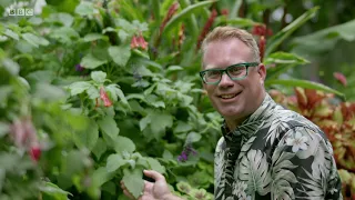 Gardeners' World 2019 E01