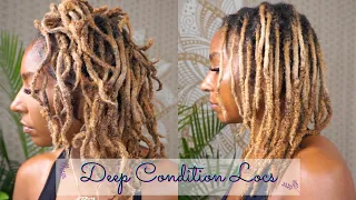 How to: Hydrate & Deep Condition Dry + Brittle Locs| Stop Thinning & Breakage| iamLindaElaine