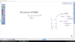 BI 112:  Chromosomes and Molecular Genetics