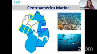 Acidificación océanica en el trópico