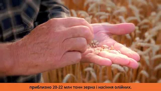 Ініціатива AGRI Агентства США з міжнародного розвитку (USAID) допомагає зберігати українське зерно