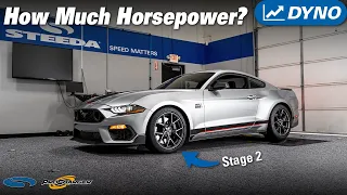 Better than Whipple? 2023 Stage 2 ProCharged Mach 1 Mustang Hits the Dyno!