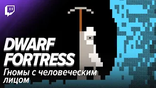 Dwarf Fortress. Гномы с человеческим лицом