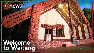 Labour, Green MPs welcomed onto Waitangi Treaty Grounds | 1News