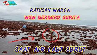 WOW AIR LAUT SURUT RATUSAN WARGA CARI GURITA & kerang di laut selatan Jatim