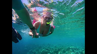 Mercure Maldives Kooddoo Resort snorkeling and SCUBA diving