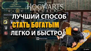 HOGWARTS LEGACY ЛУЧШИЙ СПОСОБ СТАТЬ БОГАТЫМ ЗА ПАРУ МИНУТ ЛЕГКО И БЫСТРО ГАЙД