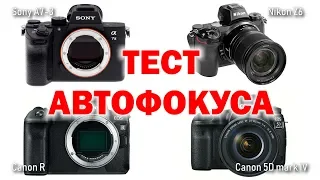 Тест видео-автофокуса Canon R vs Nikon Z6 vs Sony a7-3 vs 5D mark 4.