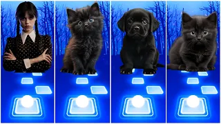 Wednesday Addams vs Cute Cats vs Cute Dog with Lady Gaga Bloody Mary I Tiles Hop EDM Rush