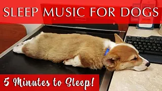 Sleep Music for Dogs Black Screen | Fade-to-Black in 5-minutes