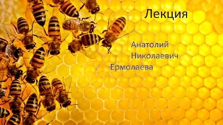 Лекция Анатолий Николаевич Ермолаева